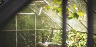 Do I Need a Greenhouse?