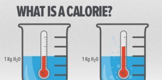 what is a calorie?
