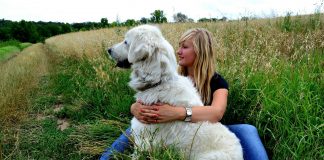Dog Ownership & Health
