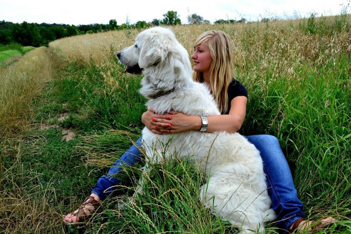 Dog Ownership & Health