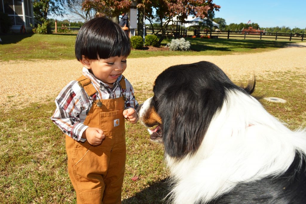 Dogs reduce asthma risk in children